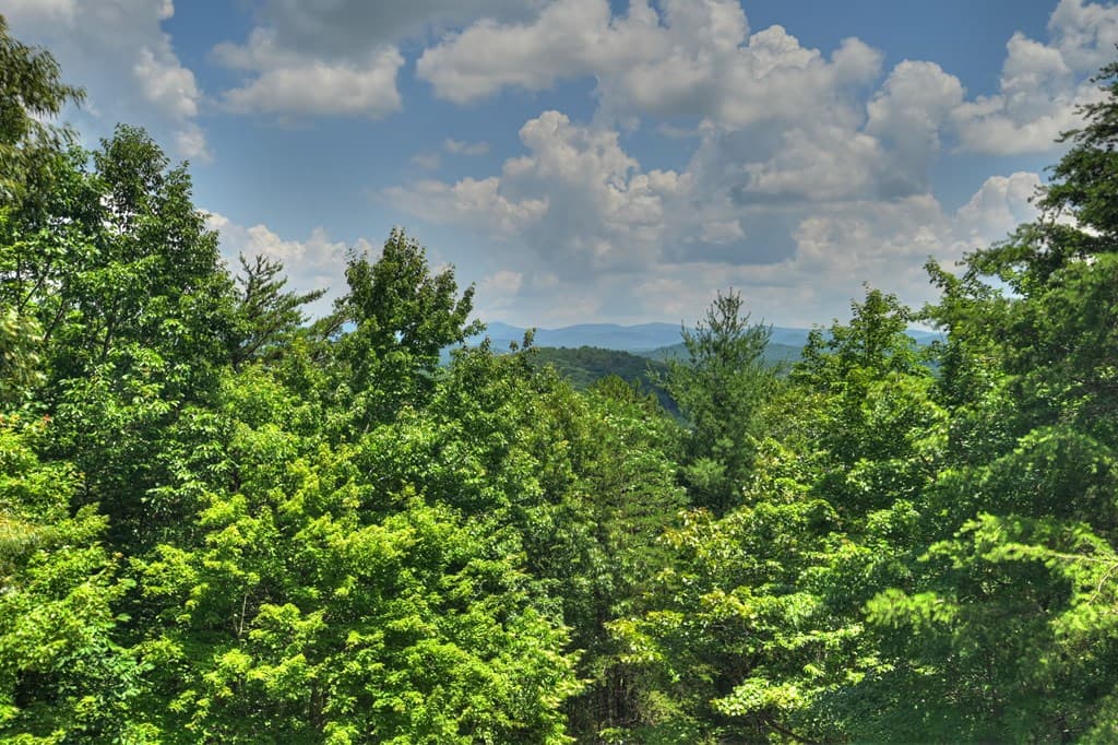 762 Pettit Ridge Road, Ellijay GA 30536 - Photo