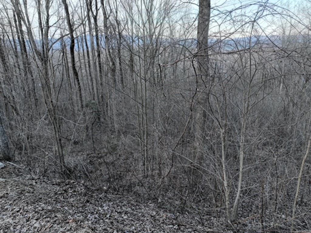 280 Andes Ridge, Ellijay GA 30536 - Photo