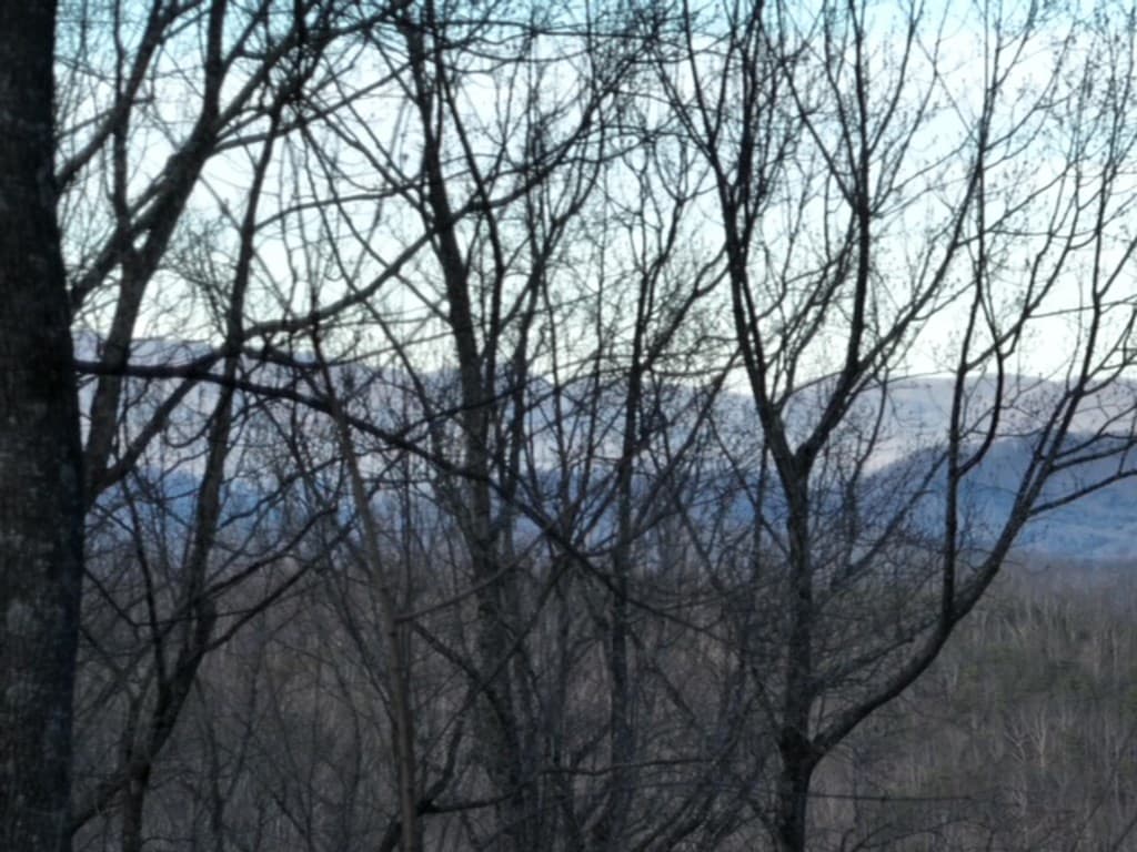 280 Andes Ridge, Ellijay GA 30536 - Photo