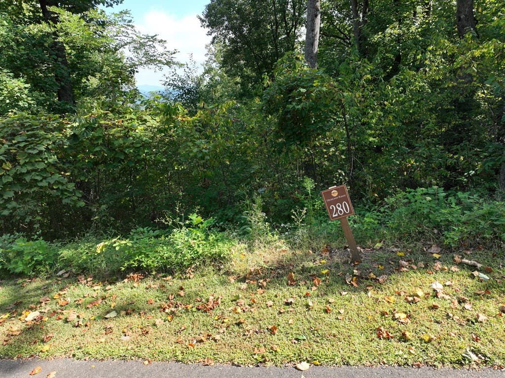 280 Andes Ridge, Ellijay GA 30536 - Photo