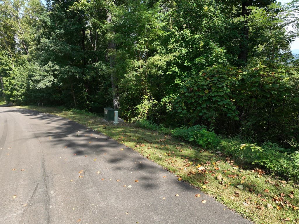 280 Andes Ridge, Ellijay GA 30536 - Photo