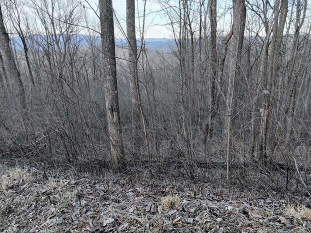 280 Andes Ridge, Ellijay GA 30536 - Photo