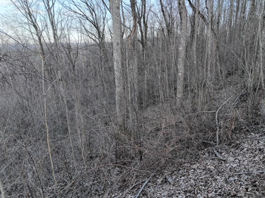 280 Andes Ridge, Ellijay GA 30536 - Photo