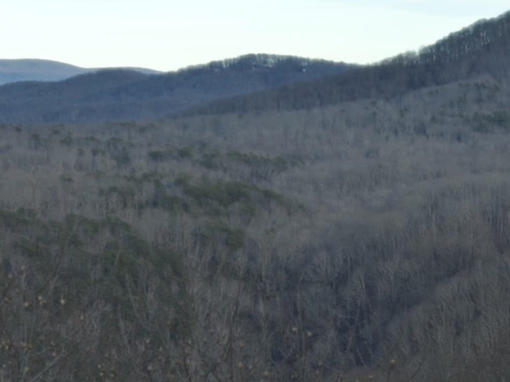 280 Andes Ridge, Ellijay GA 30536 - Photo