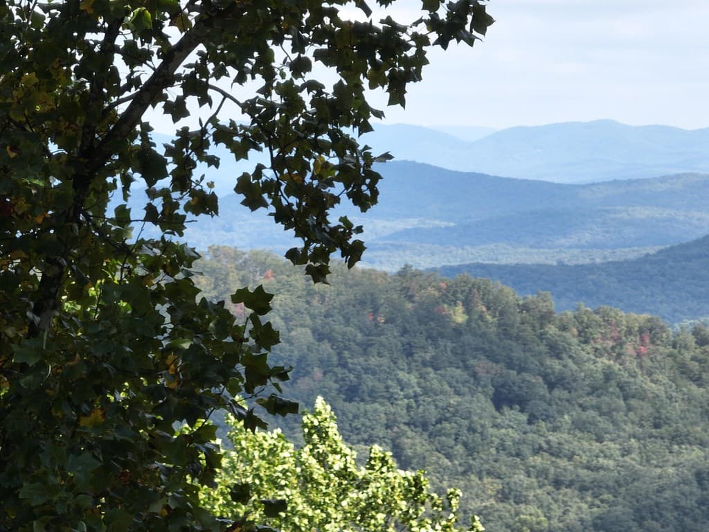280 Andes Ridge, Ellijay GA 30536 - Photo