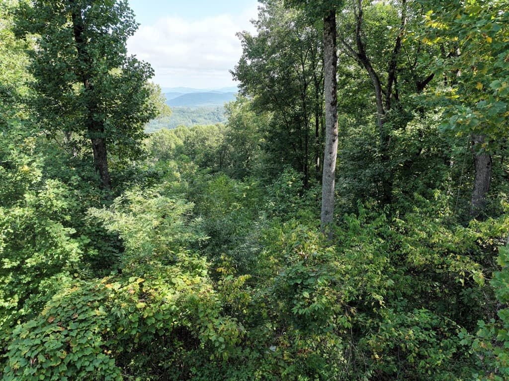 280 Andes Ridge, Ellijay GA 30536 - Photo