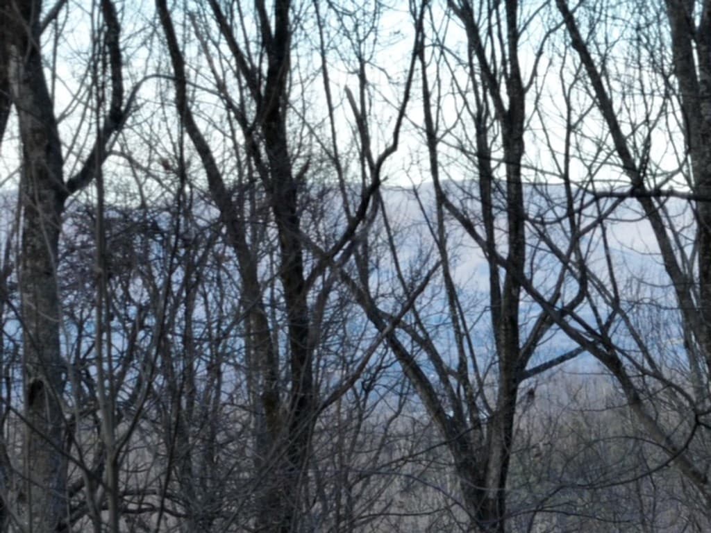 280 Andes Ridge, Ellijay GA 30536 - Photo