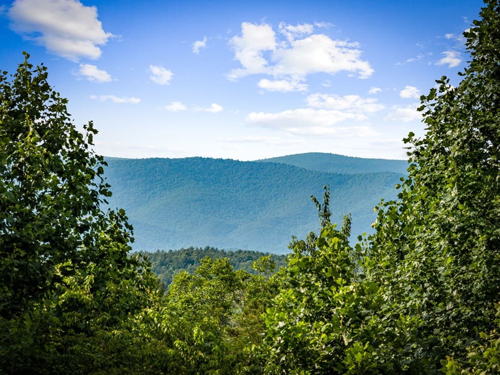 290 Old Anderson Creek, Ellijay GA 30536 - Photo