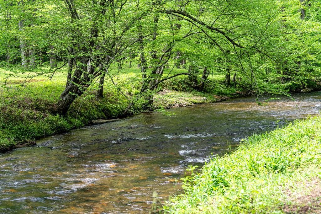 290 Old Anderson Creek, Ellijay GA 30536 - Photo