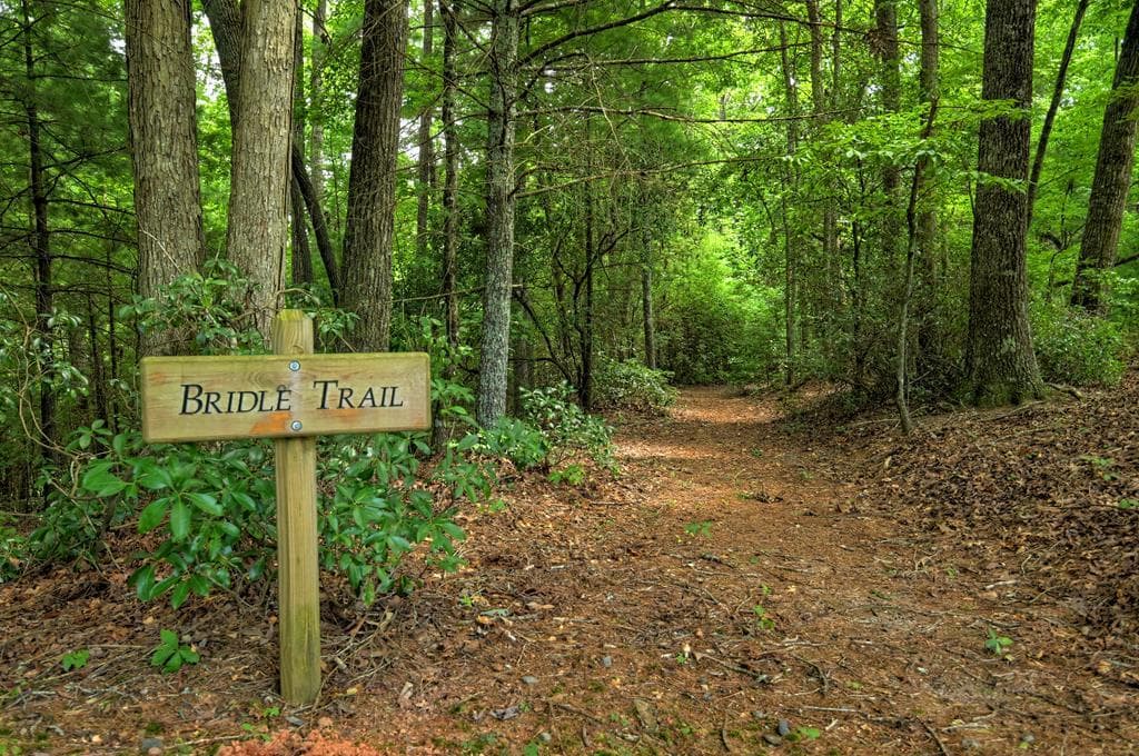 290 Old Anderson Creek, Ellijay GA 30536 - Photo