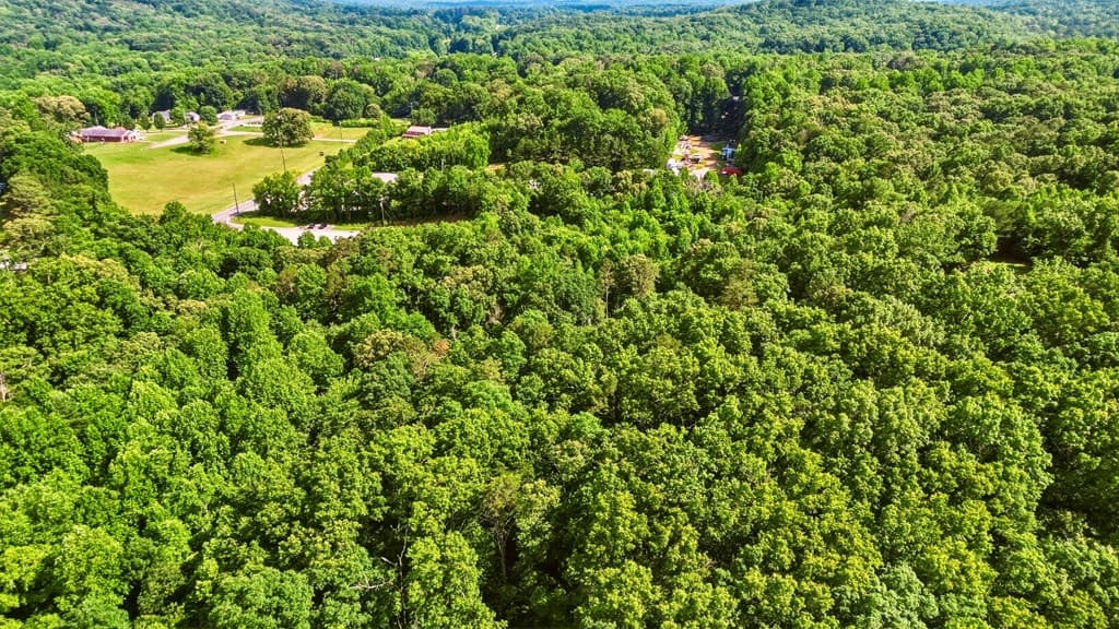 Tract 2 Yukon Road, Ellijay GA 30536 - Photo