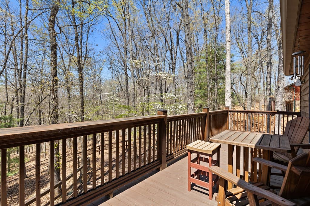 236 Logan Drive, Mineral Bluff GA 30559 - Photo