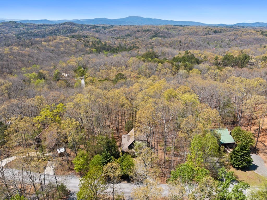 236 Logan Drive, Mineral Bluff GA 30559 - Photo