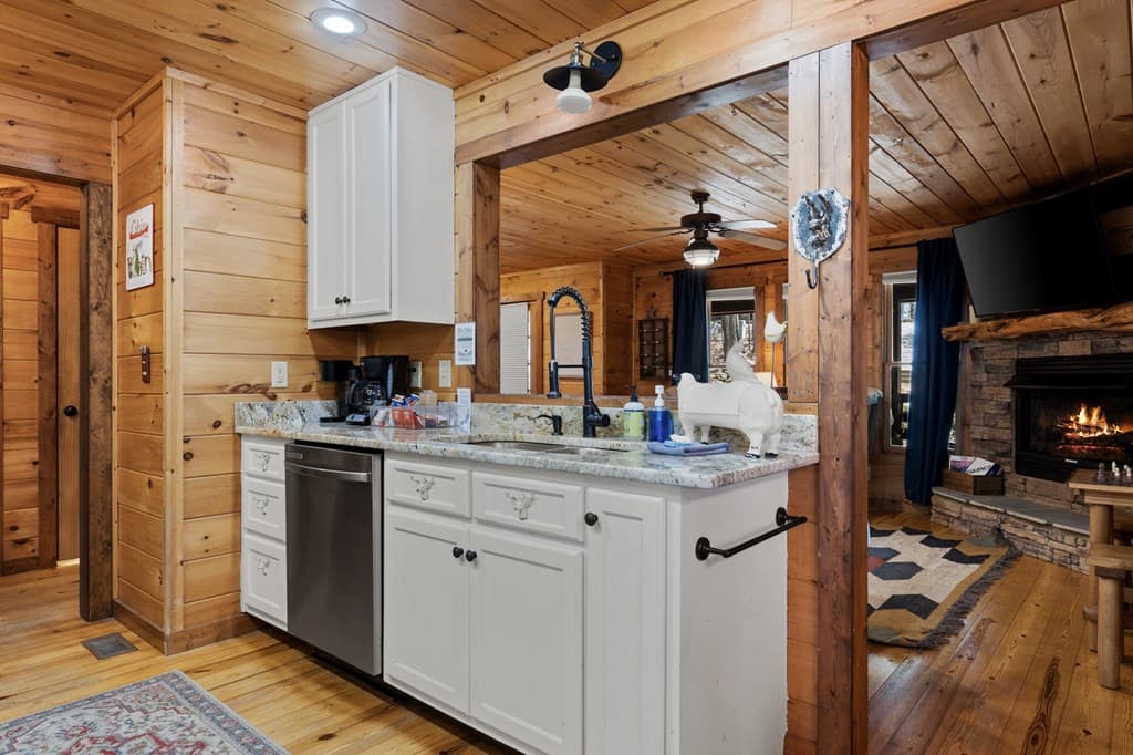 236 Logan Drive, Mineral Bluff GA 30559 - Photo