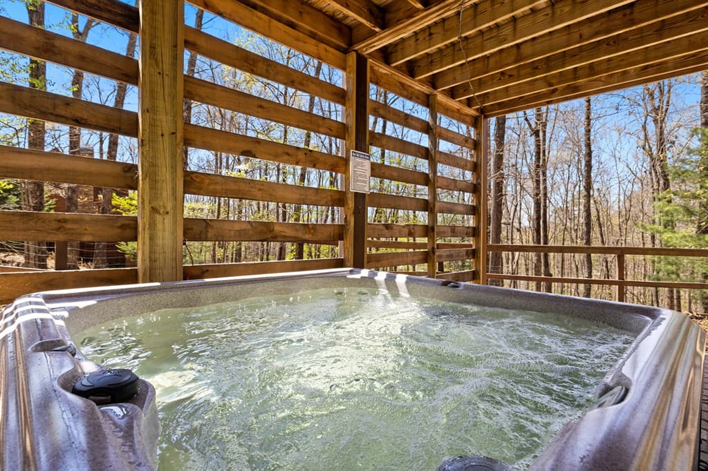 236 Logan Drive, Mineral Bluff GA 30559 - Photo
