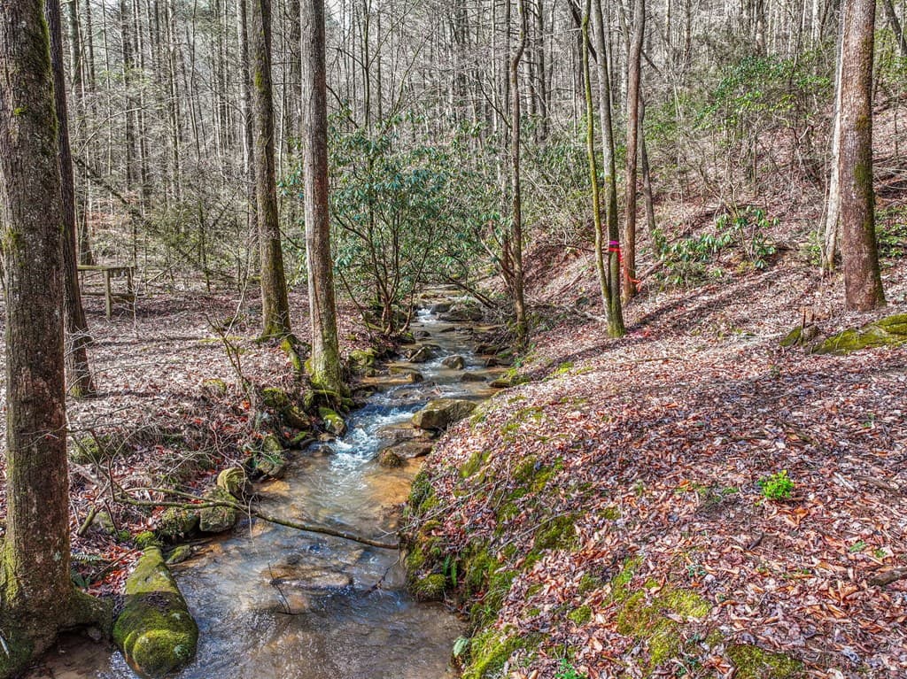 641 Bryant Farm Lane, Ellijay GA 30540 - Photo