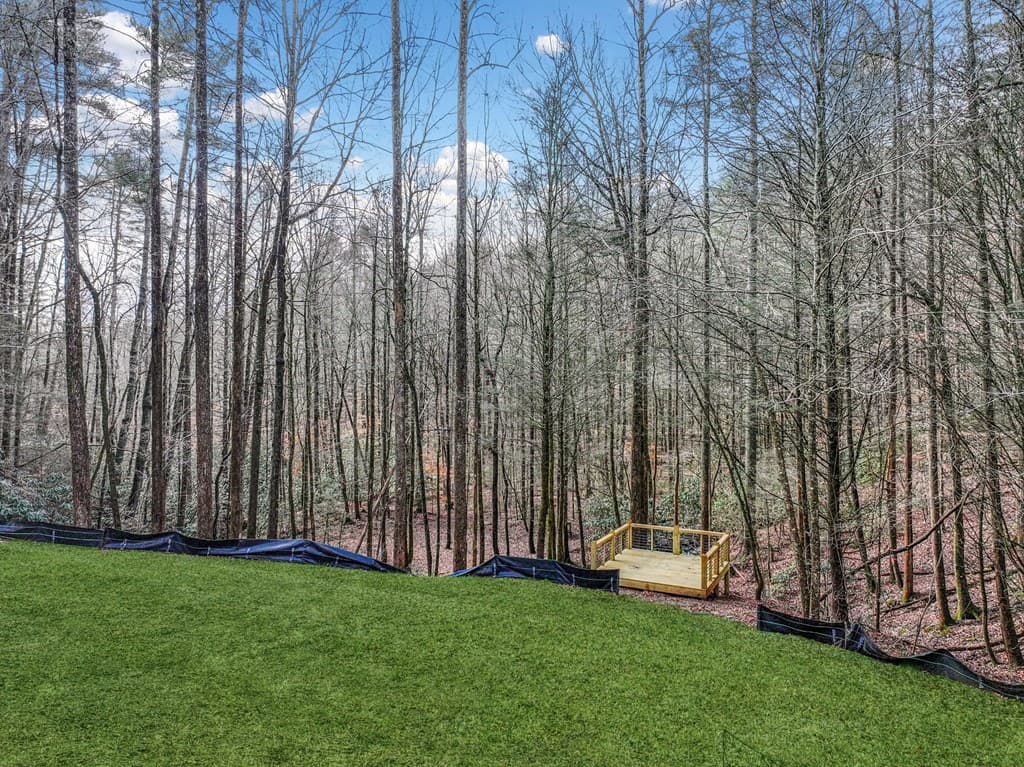 641 Bryant Farm Lane, Ellijay GA 30540 - Photo