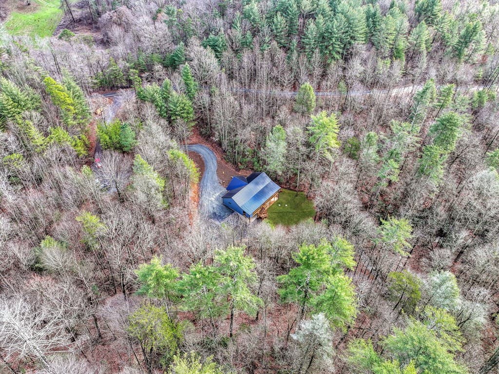 641 Bryant Farm Lane, Ellijay GA 30540 - Photo
