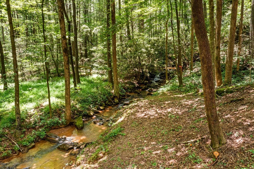 641 Bryant Farm Lane, Ellijay GA 30540 - Photo