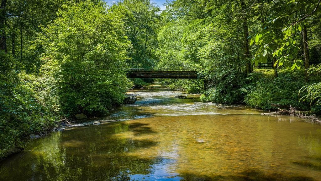 2977 Hwy 2, Blue Ridge GA 30513 - Photo