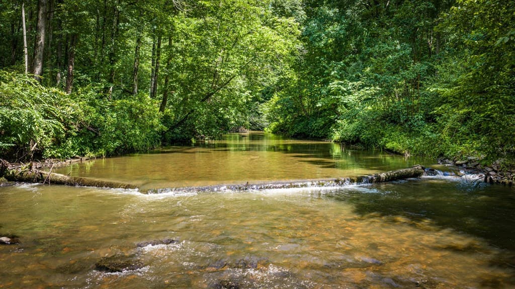 2977 Hwy 2, Blue Ridge GA 30513 - Photo