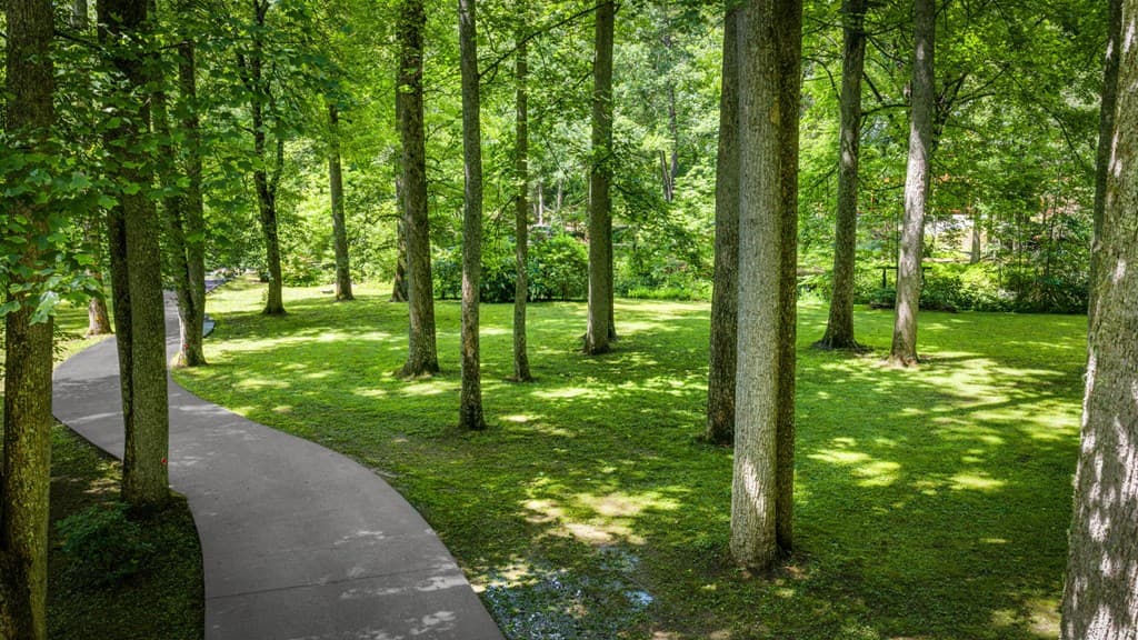 2977 Hwy 2, Blue Ridge GA 30513 - Photo