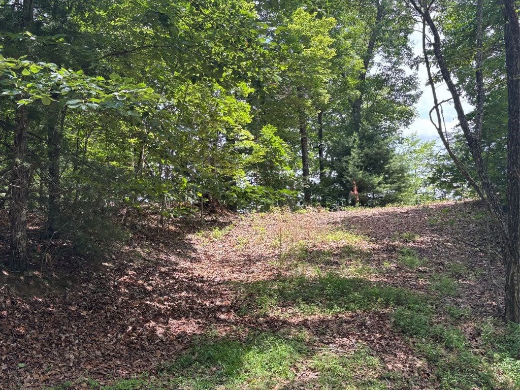 Lot 46 Mission Ridge, Hayesville NC 28904 - Photo