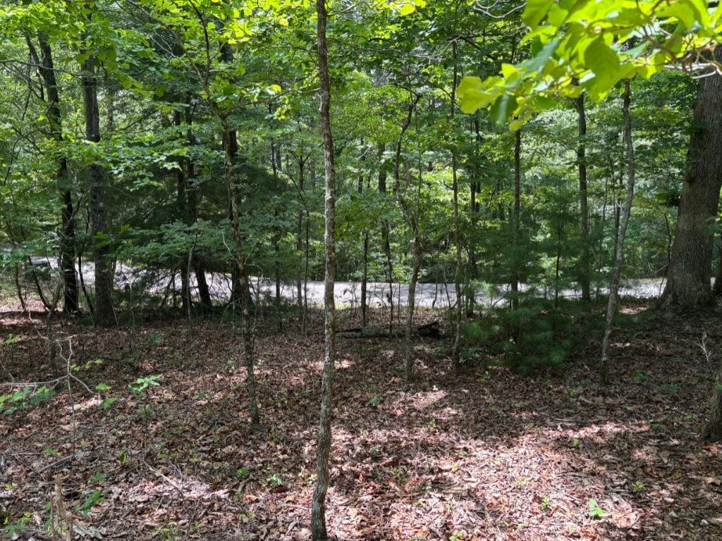 Lot 46 Mission Ridge, Hayesville NC 28904 - Photo
