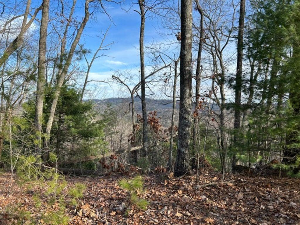 Lot 46 Mission Ridge, Hayesville NC 28904 - Primary photo