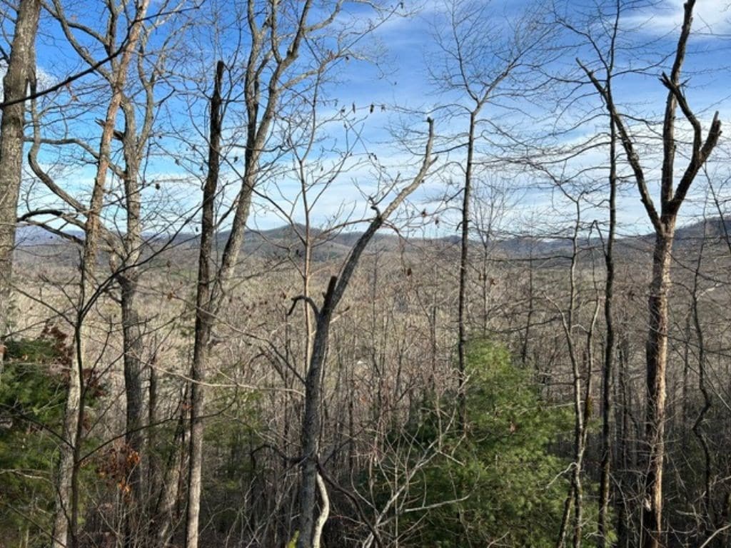 Lot 46 Mission Ridge, Hayesville NC 28904 - Photo