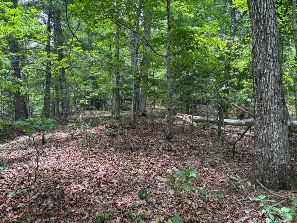 Lot 46 Mission Ridge, Hayesville NC 28904 - Photo