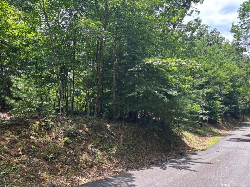 Lot 46 Mission Ridge, Hayesville NC 28904 - Photo