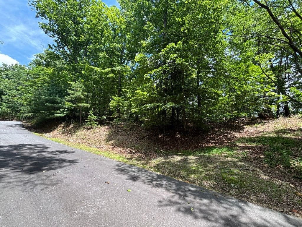 Lot 46 Mission Ridge, Hayesville NC 28904 - Photo