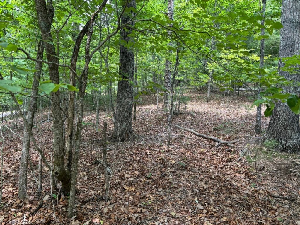 Lot 46 Mission Ridge, Hayesville NC 28904 - Photo