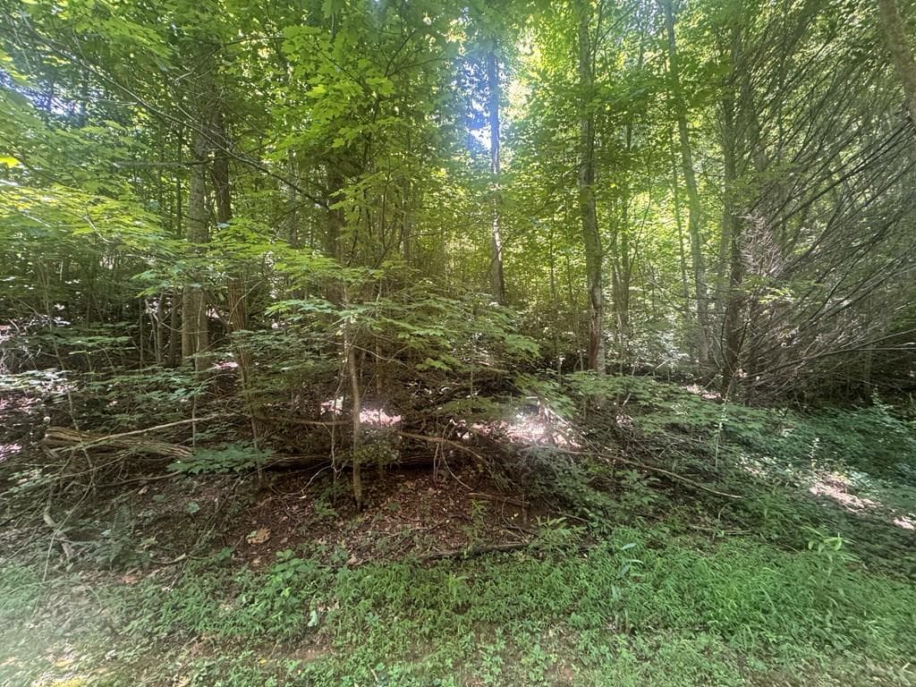 2.33 acr Flat Rock Valley Road, Blairsville GA 30512 - Photo