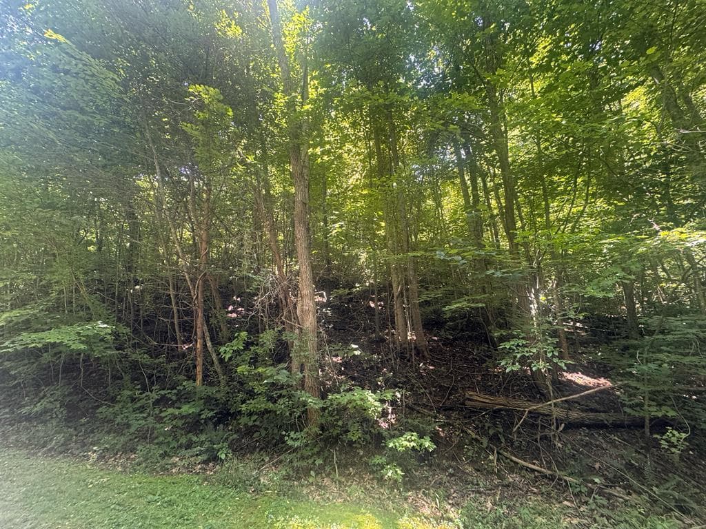 2.33 acr Flat Rock Valley Road, Blairsville GA 30512 - Photo
