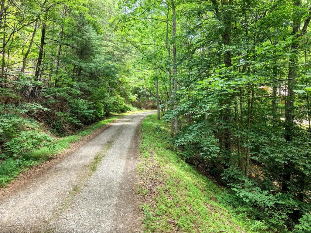 2.33 acr Flat Rock Valley Road, Blairsville GA 30512 - Primary photo