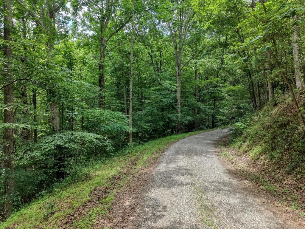 2.33 acr Flat Rock Valley Road, Blairsville GA 30512 - Photo