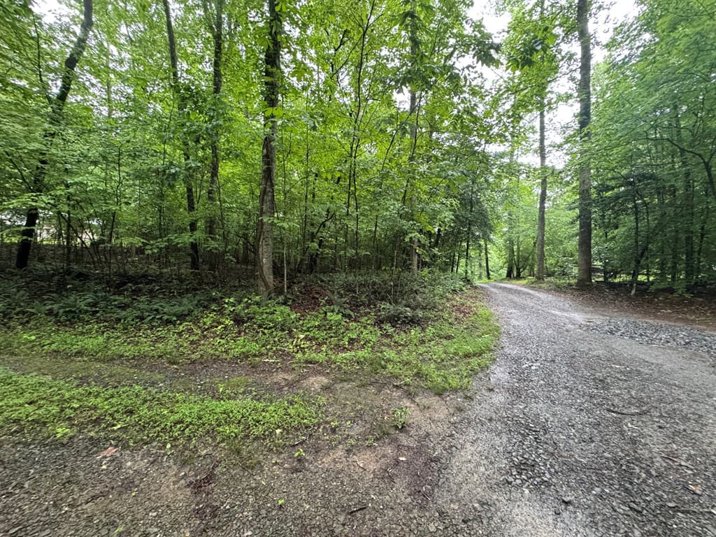 1.23 AC Bear Run Circle, Ellijay GA 30540 - Photo