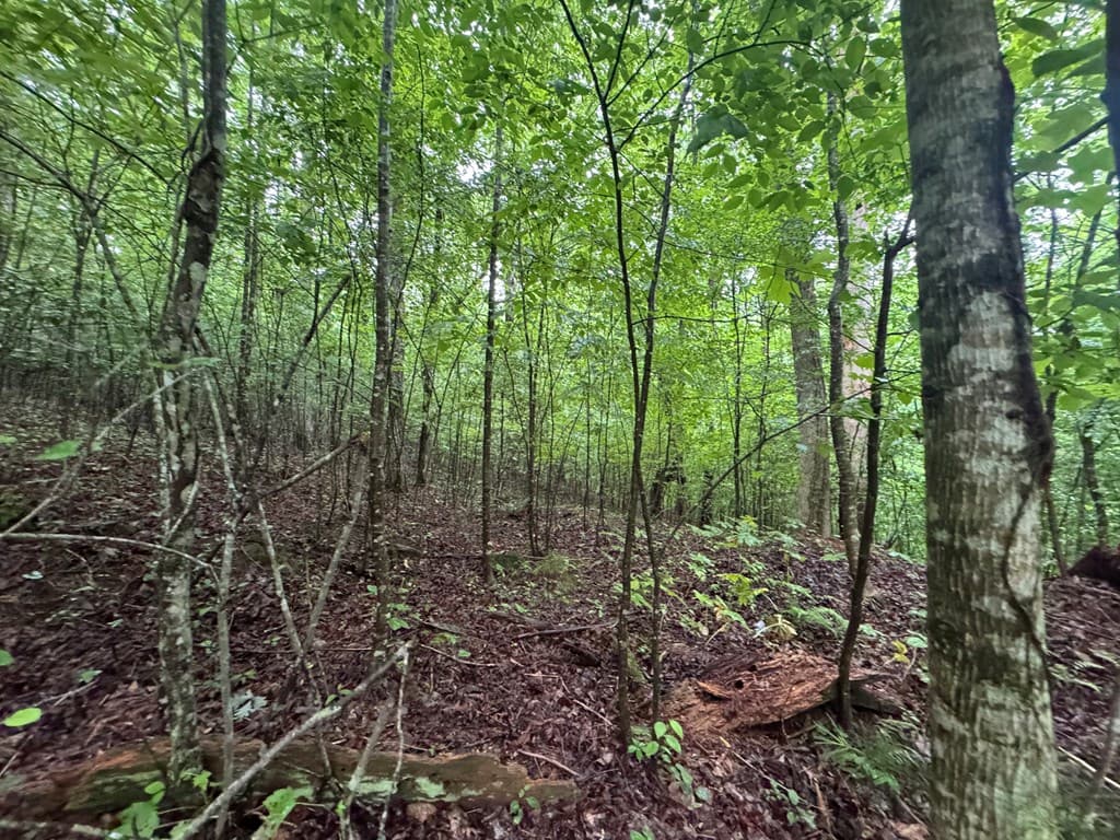 1.23 AC Bear Run Circle, Ellijay GA 30540 - Photo
