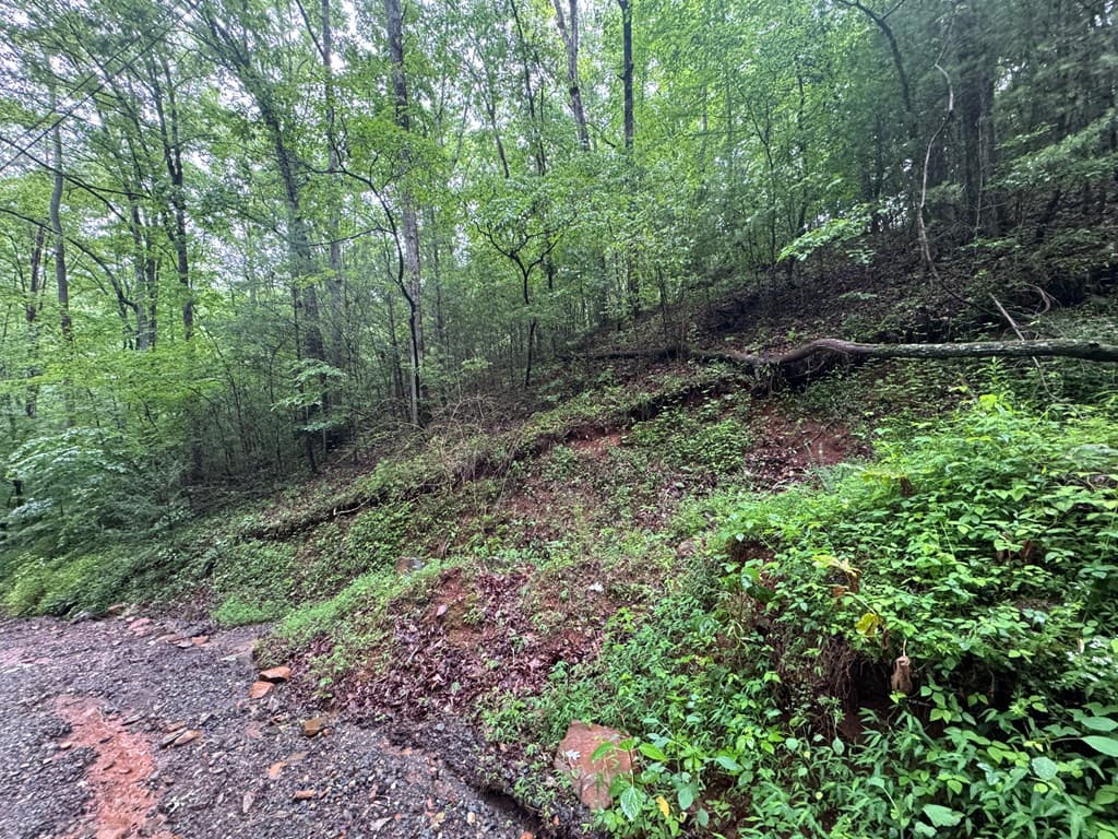 1.23 AC Bear Run Circle, Ellijay GA 30540 - Photo