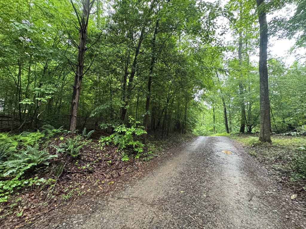 1.23 AC Bear Run Circle, Ellijay GA 30540 - Photo