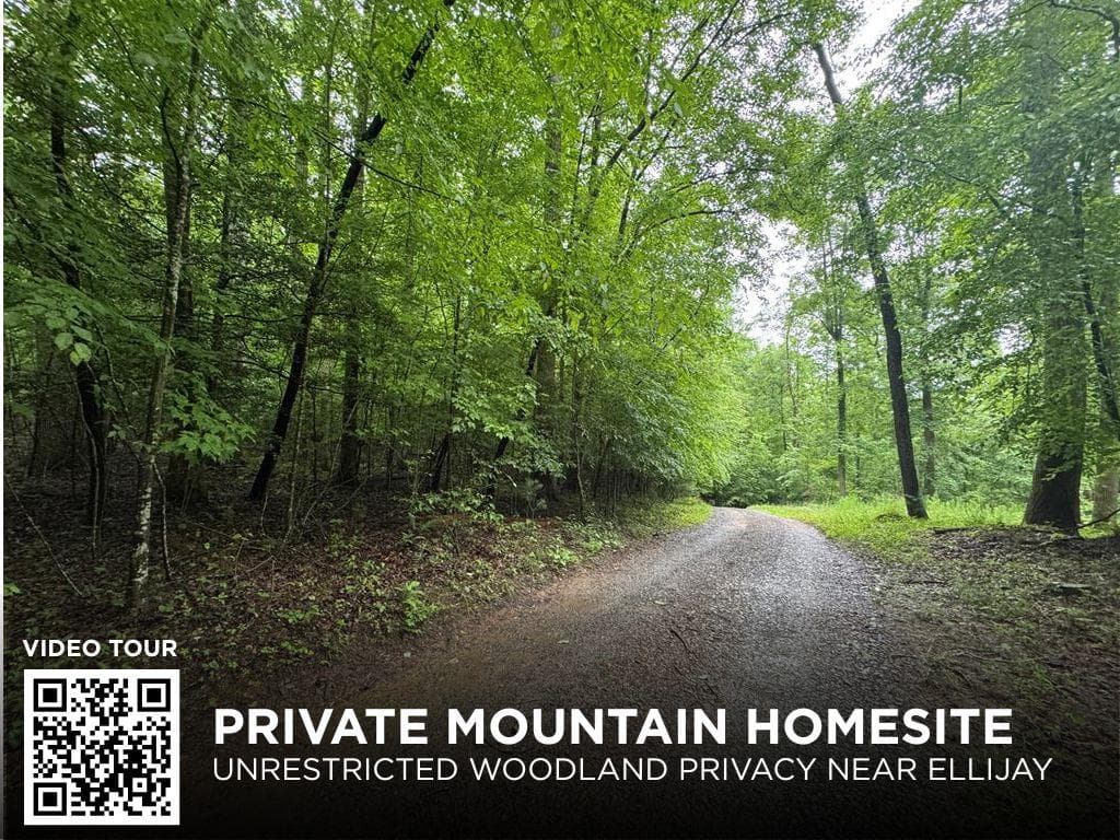 1.23 AC Bear Run Circle, Ellijay GA 30540 - Primary photo