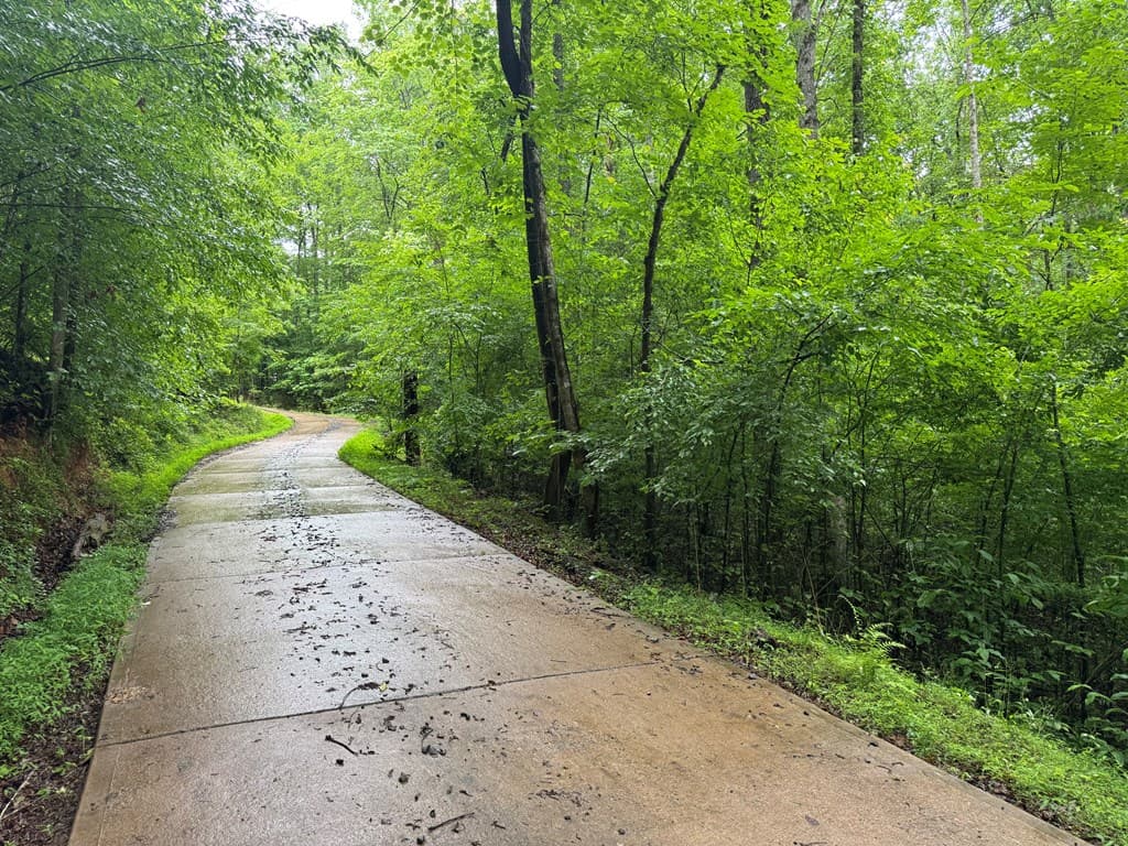 1.23 AC Bear Run Circle, Ellijay GA 30540 - Photo
