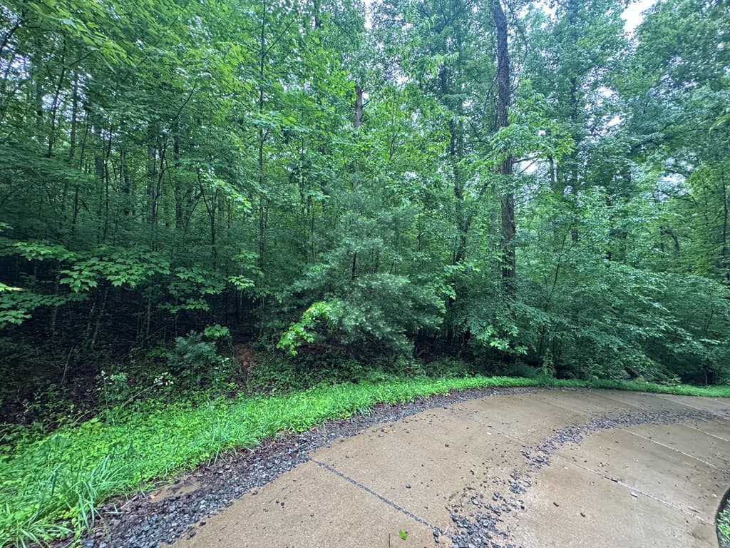 1.23 AC Bear Run Circle, Ellijay GA 30540 - Photo