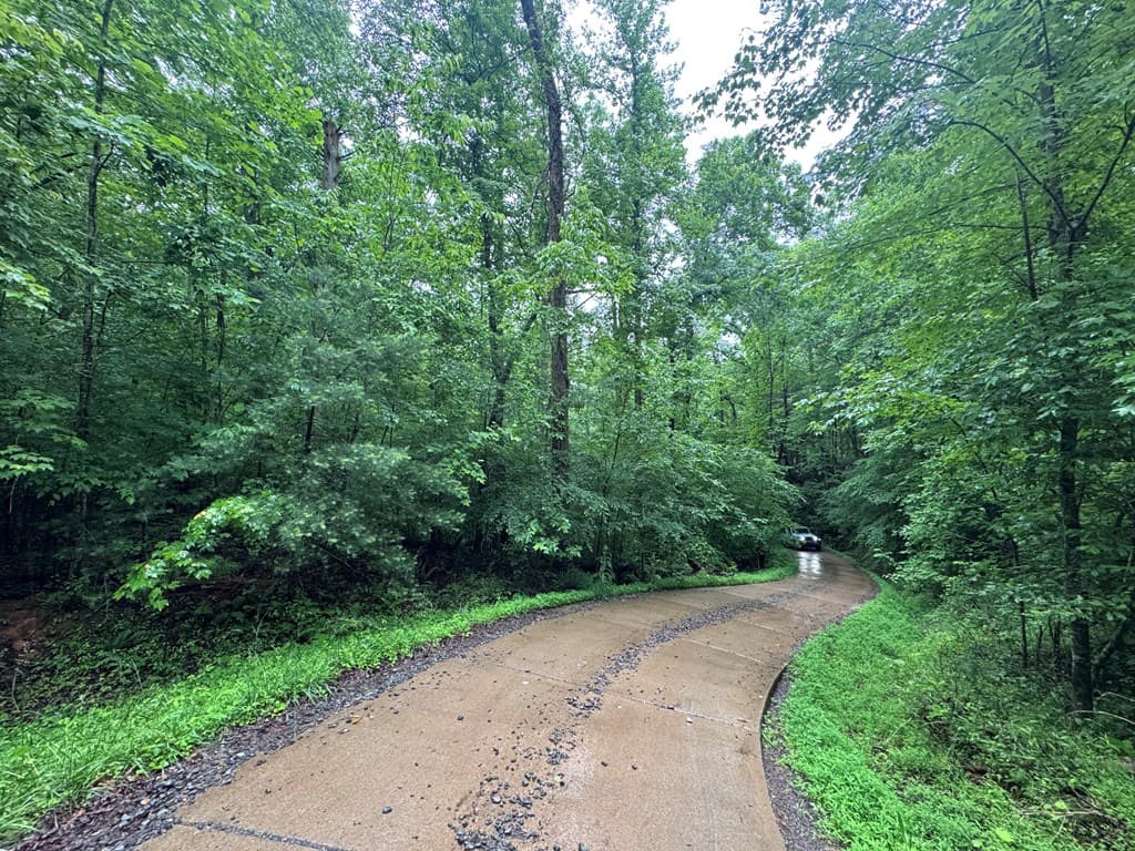 1.23 AC Bear Run Circle, Ellijay GA 30540 - Photo