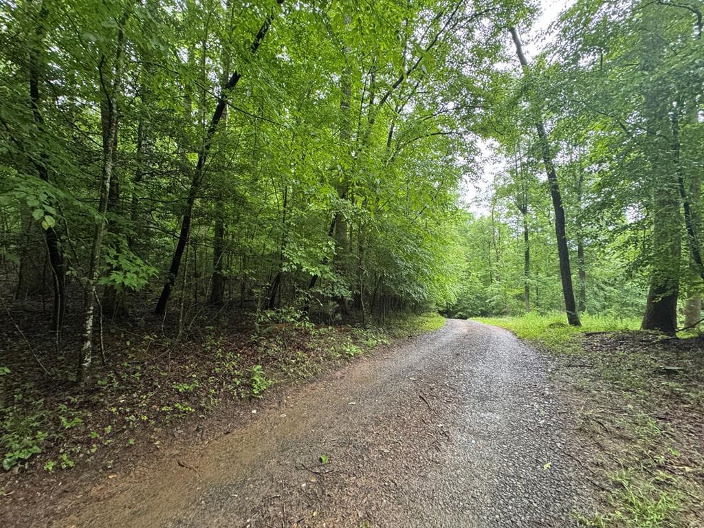 1.23 AC Bear Run Circle, Ellijay GA 30540 - Photo