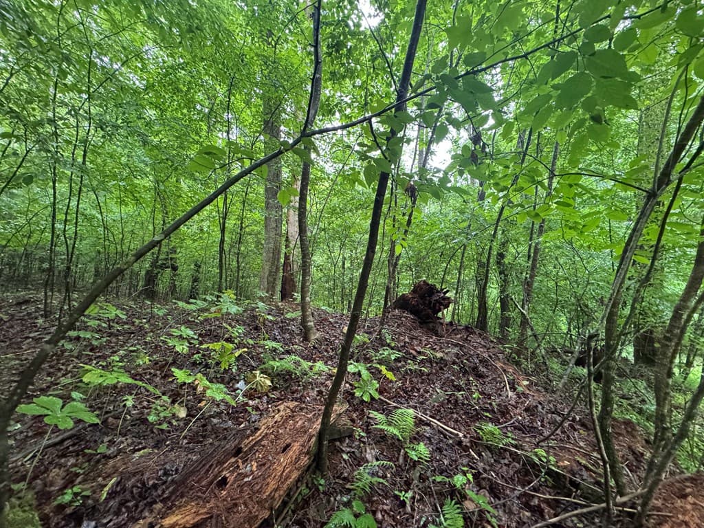 1.23 AC Bear Run Circle, Ellijay GA 30540 - Photo