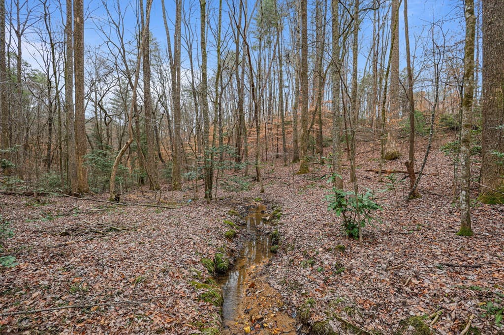 00 Timberland Drive, Ellijay GA 30540 - Photo