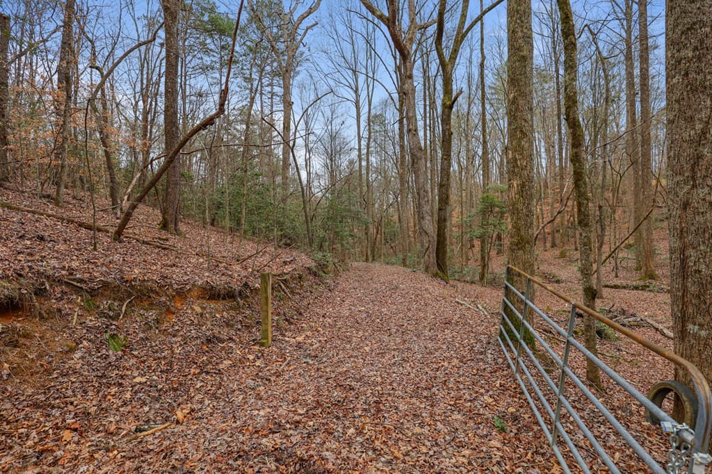 00 Timberland Drive, Ellijay GA 30540 - Photo